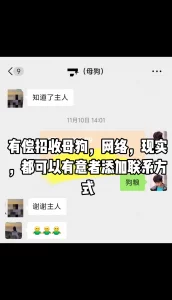 有偿招收母狗网络现实都可以