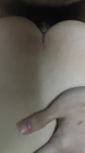 凤鸣轩免费言情小说